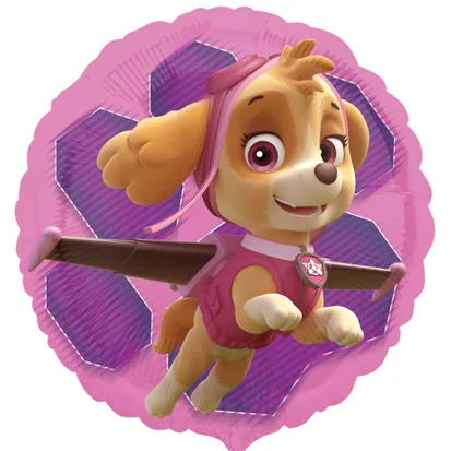 Paw Patrol Pinks Skye and Everest Foil Balloon -0